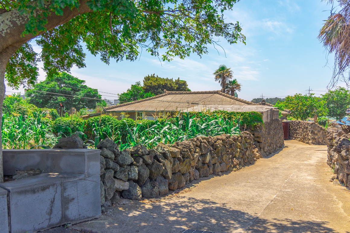 전통과 현재가 어우러진 <이호 해변 즐기기> 