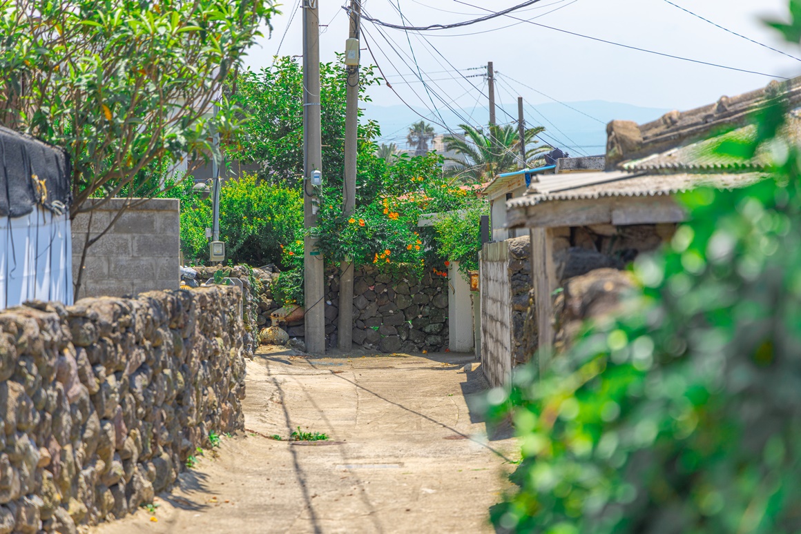 전통과 현재가 어우러진 <이호 해변 즐기기> 