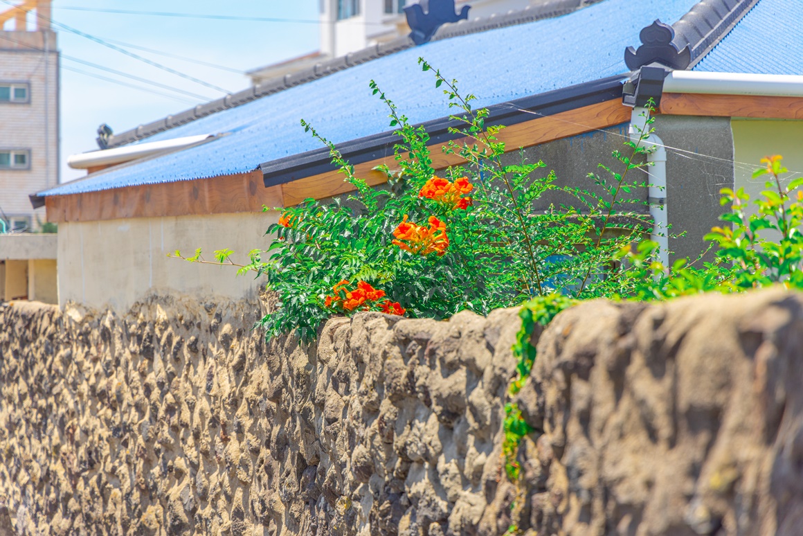 전통과 현재가 어우러진 <이호 해변 즐기기> 