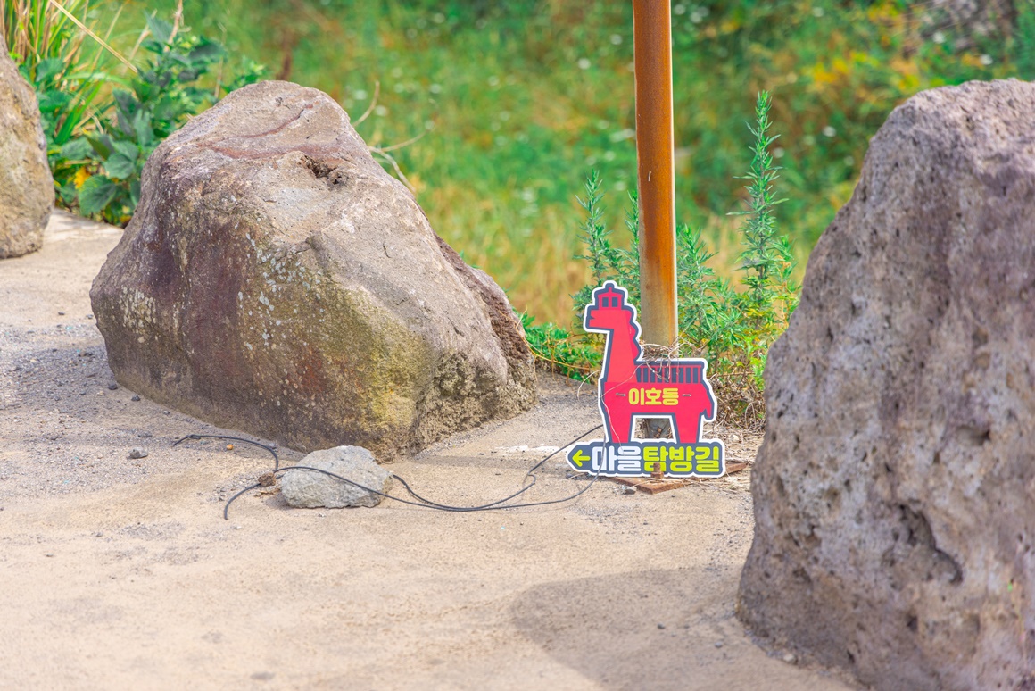 전통과 현재가 어우러진 <이호 해변 즐기기> 