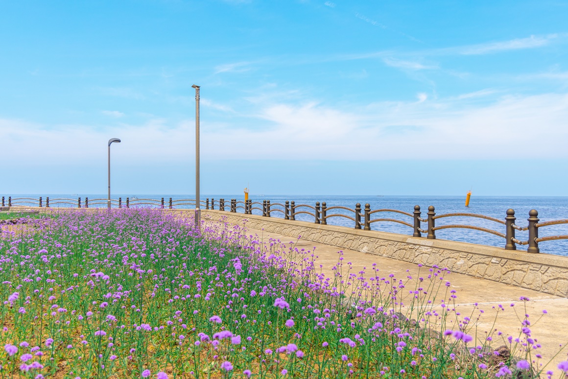 전통과 현재가 어우러진 <이호 해변 즐기기> 