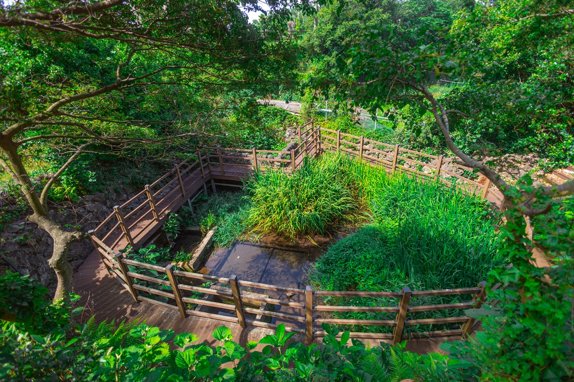 전통과 현재가 어우러진 <이호 해변 즐기기> 