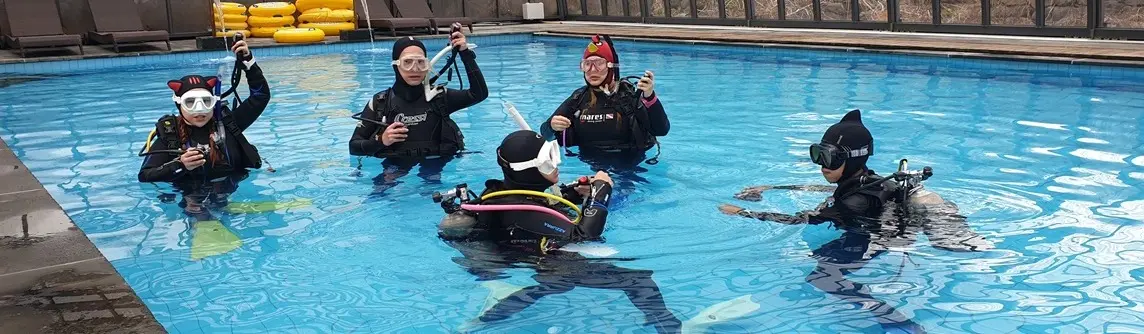 西帰浦のDive Mapで行われる済州島スキューバダイビングの実景