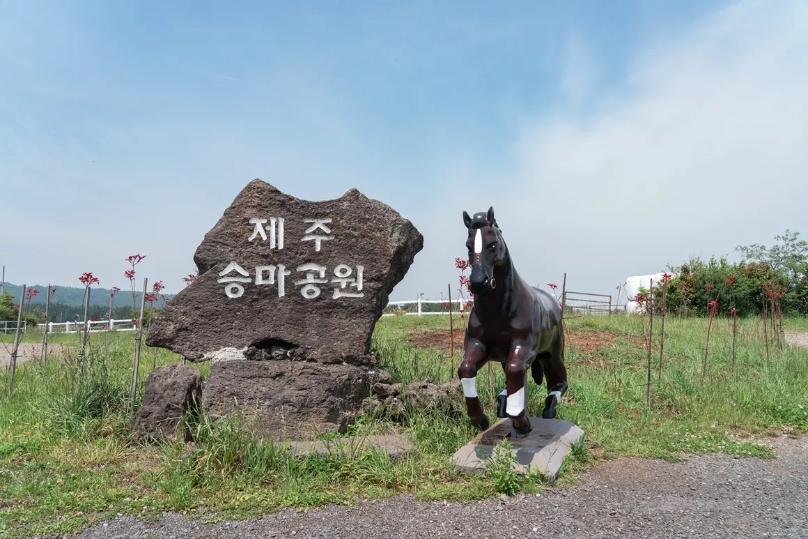 Jeju Horse Riding Park 