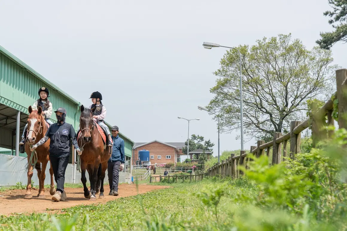 Jeju Horse Riding Park 