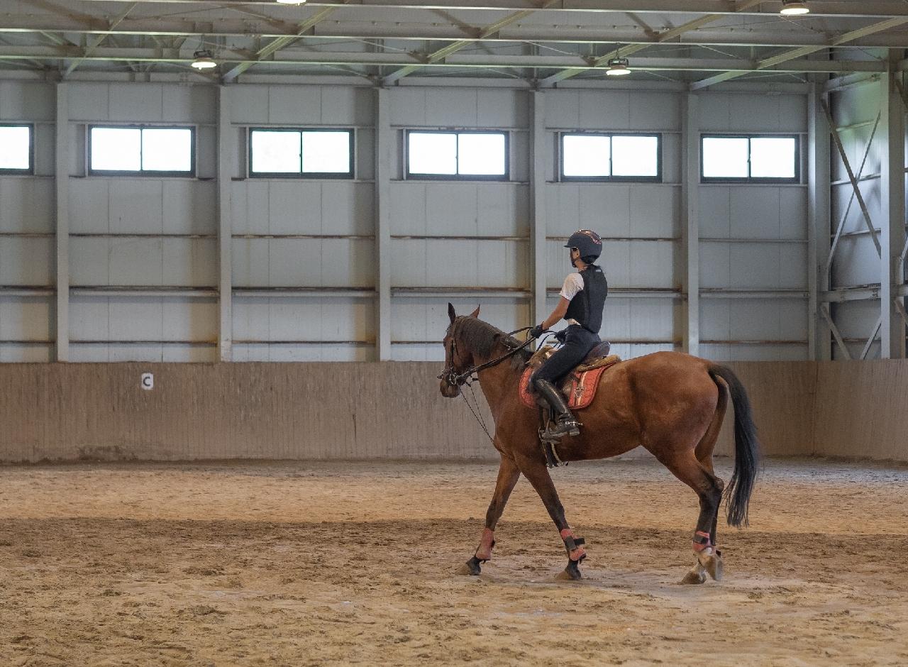 배움이 있는 휴가 <러닝 할리데이 Discover Jeju-체험편>