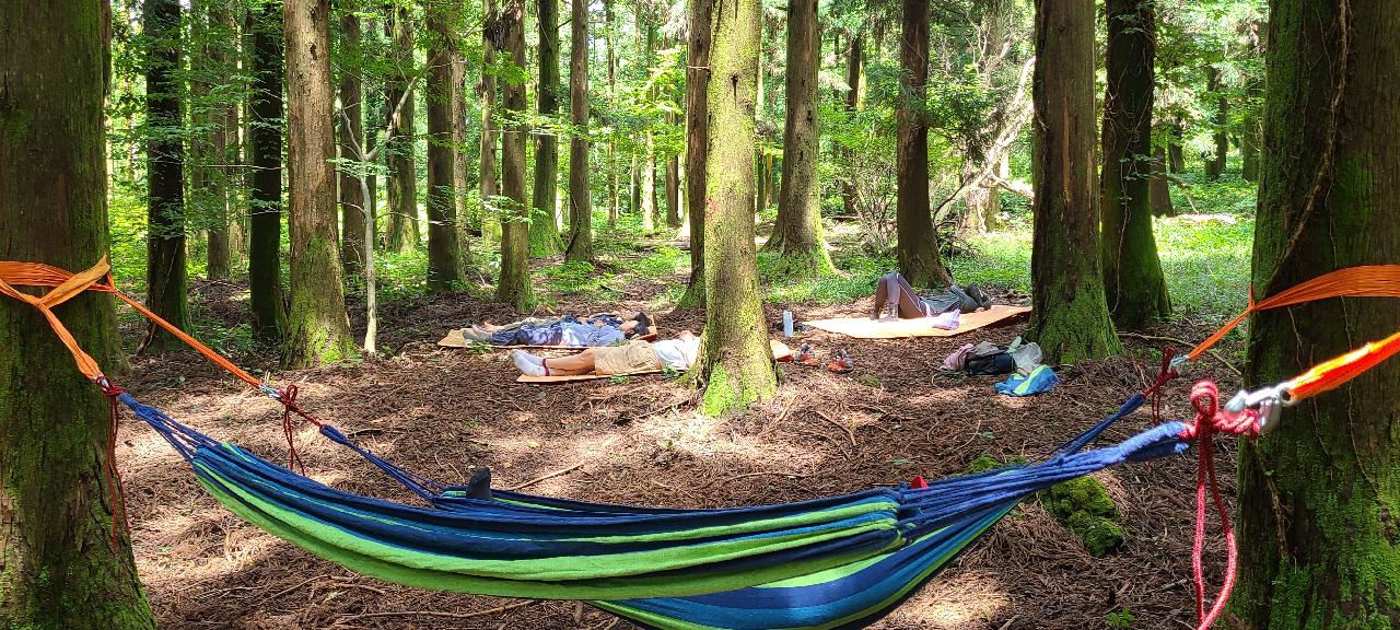 배움이 있는 휴가 <러닝 할리데이 Discover Jeju-체험편>