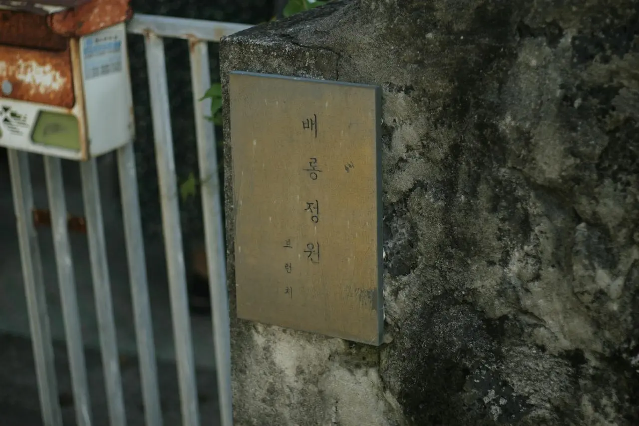 Crape myrtle garden (배롱정원 협재)