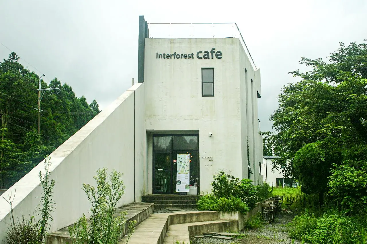 Interforest (인터포레스트)