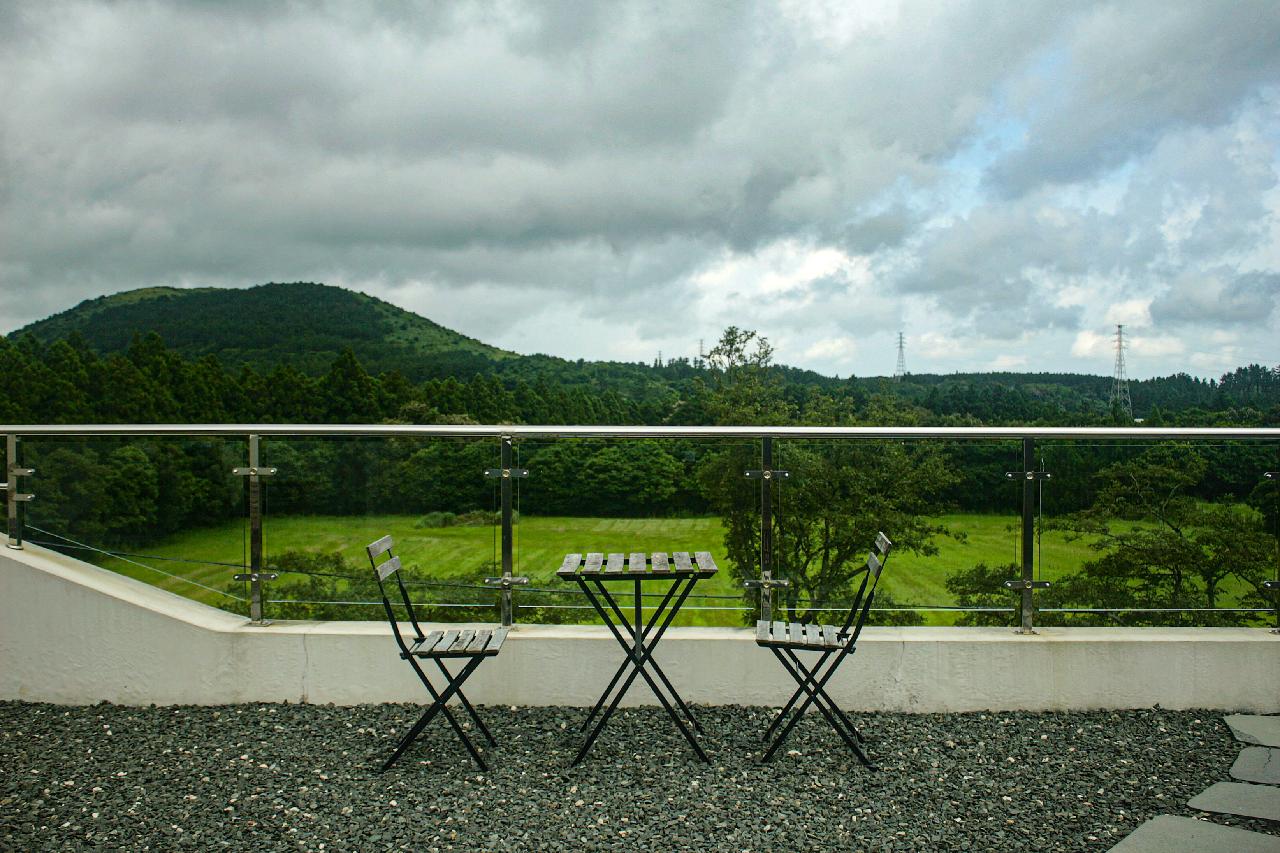 인터포레스트-2