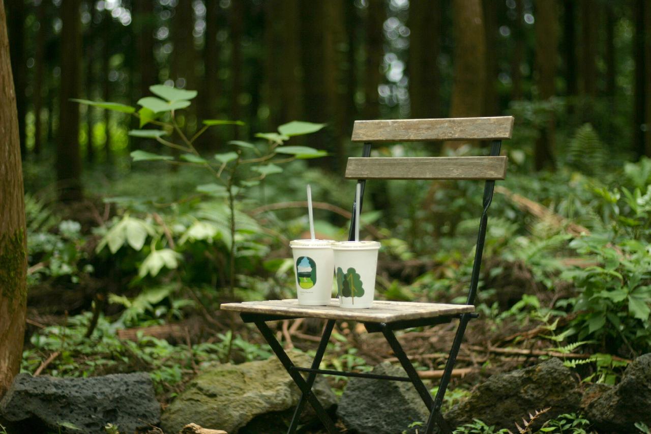 인터포레스트-3