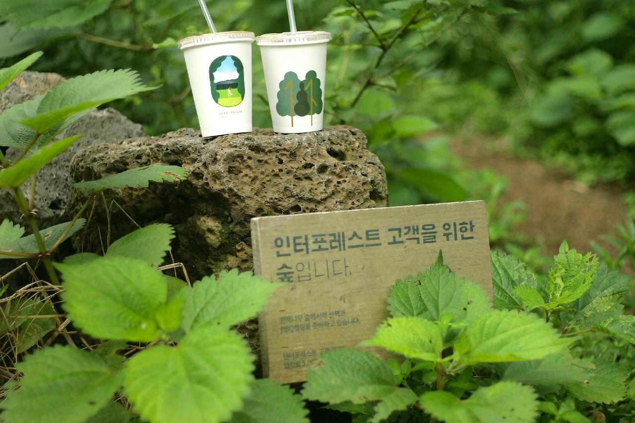 인터포레스트-3