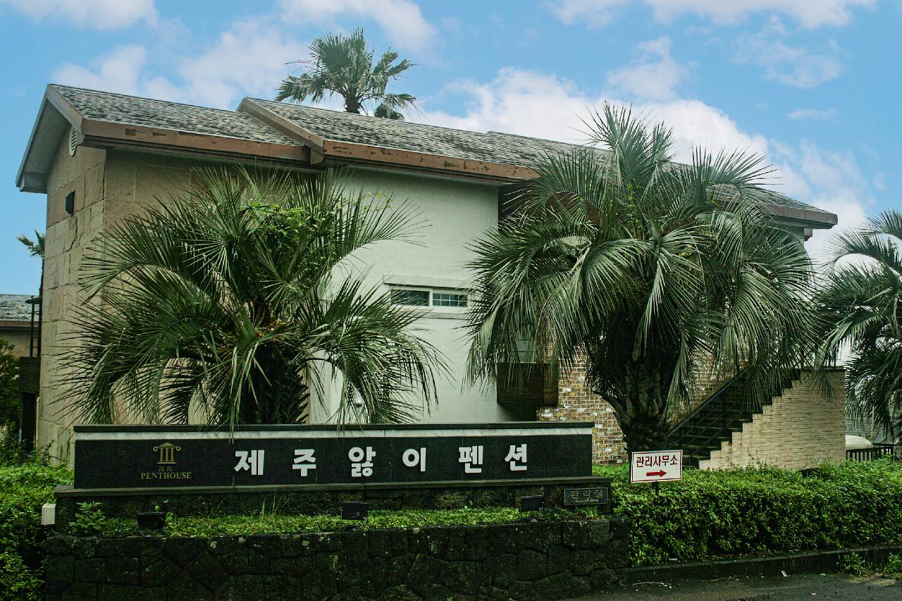 제주앓이-1