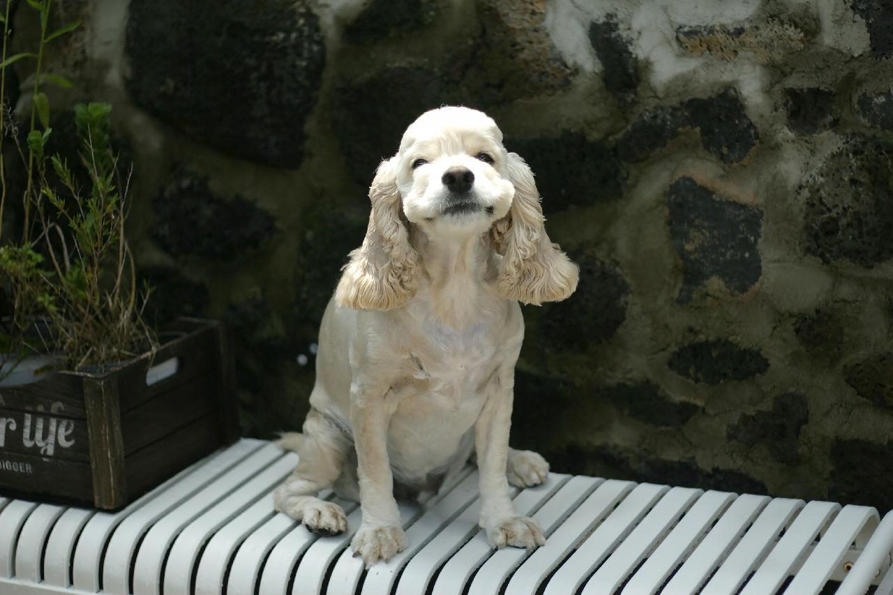 월정조용한카페앤펍