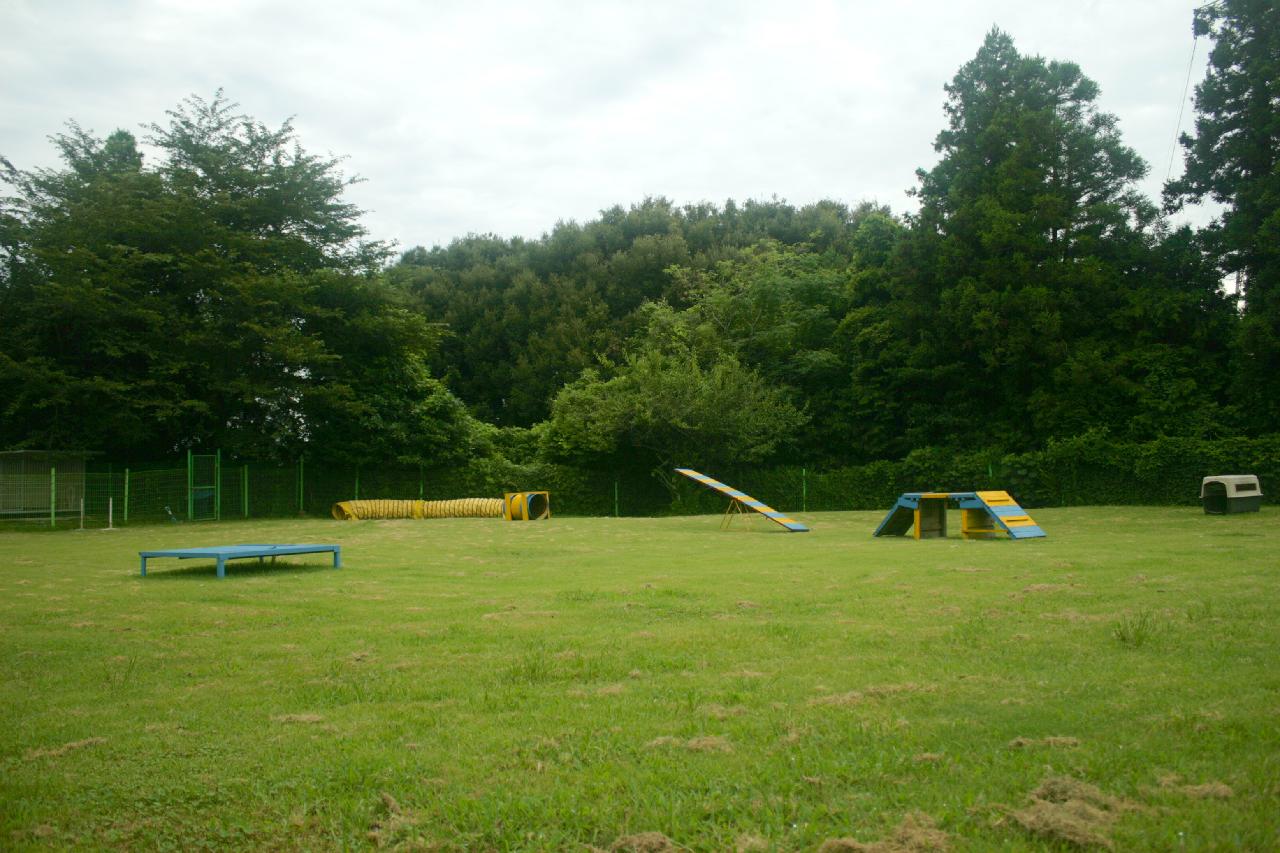 제주애견학교-3