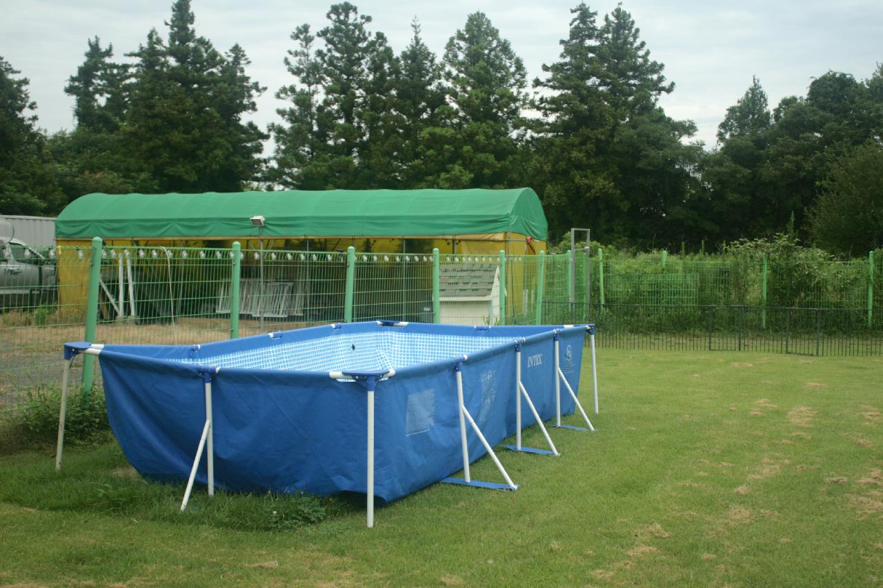 제주애견학교-2