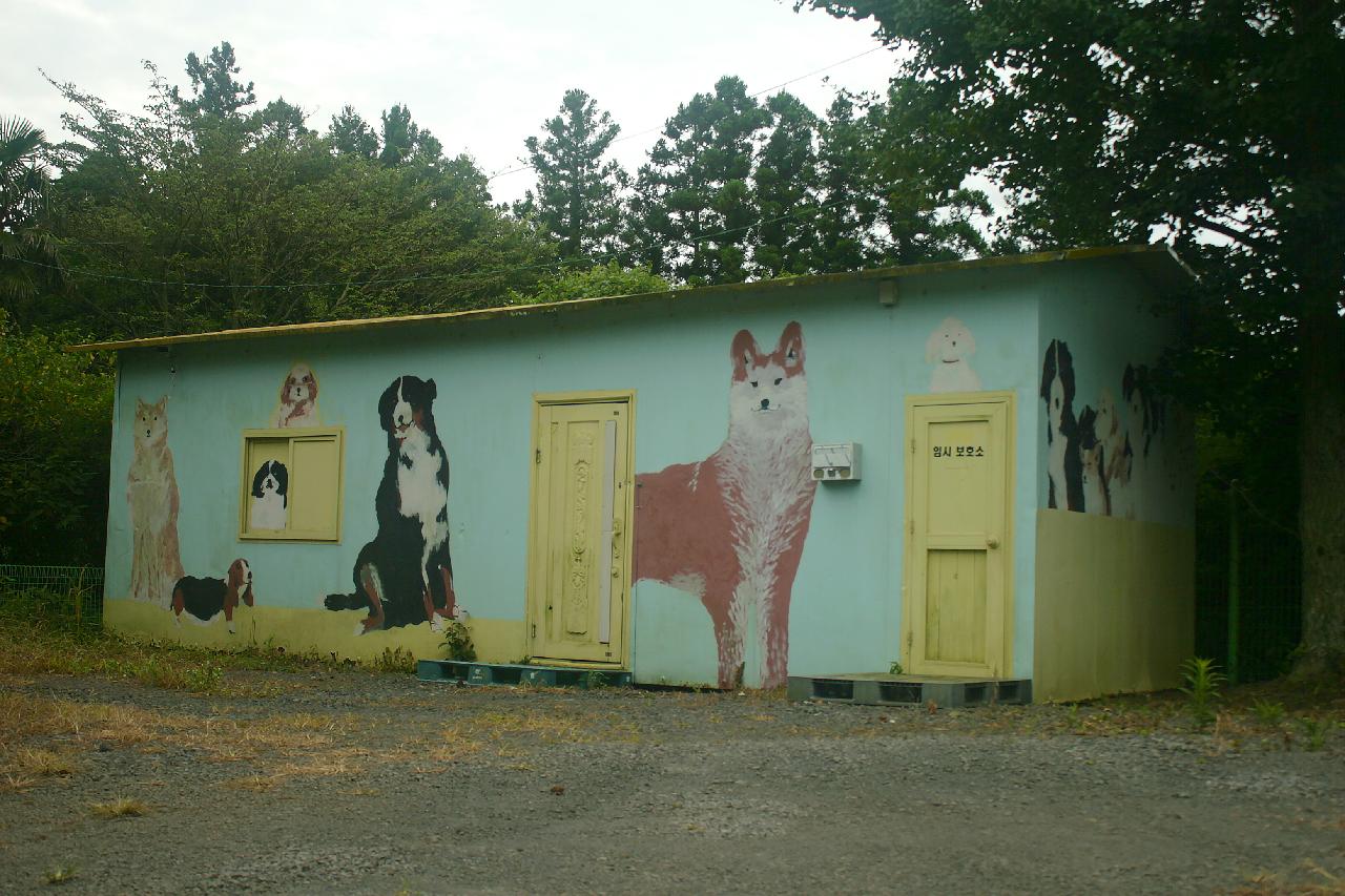 제주애견학교-5