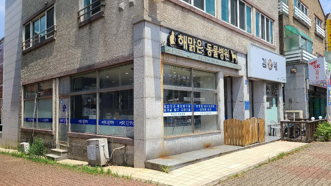 해맑은동물병원