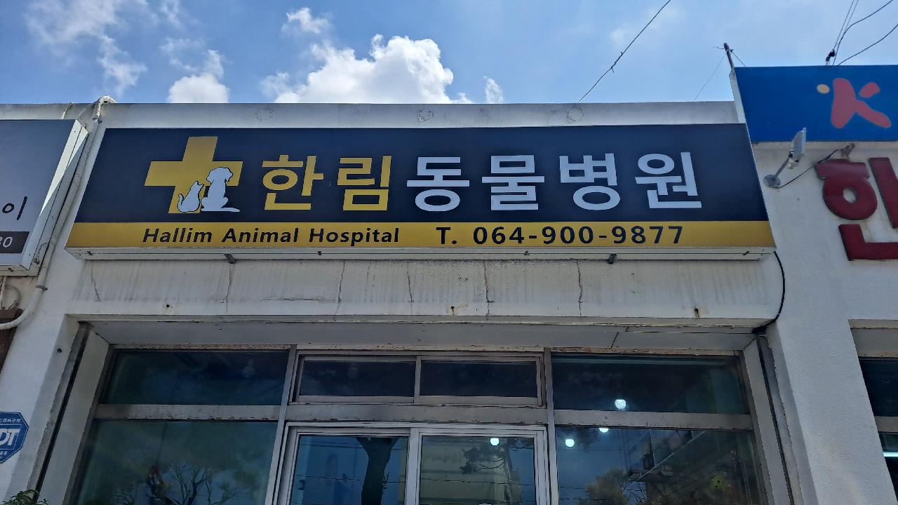 한림동물병원