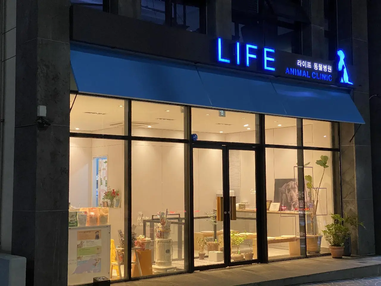 라이프동물병원