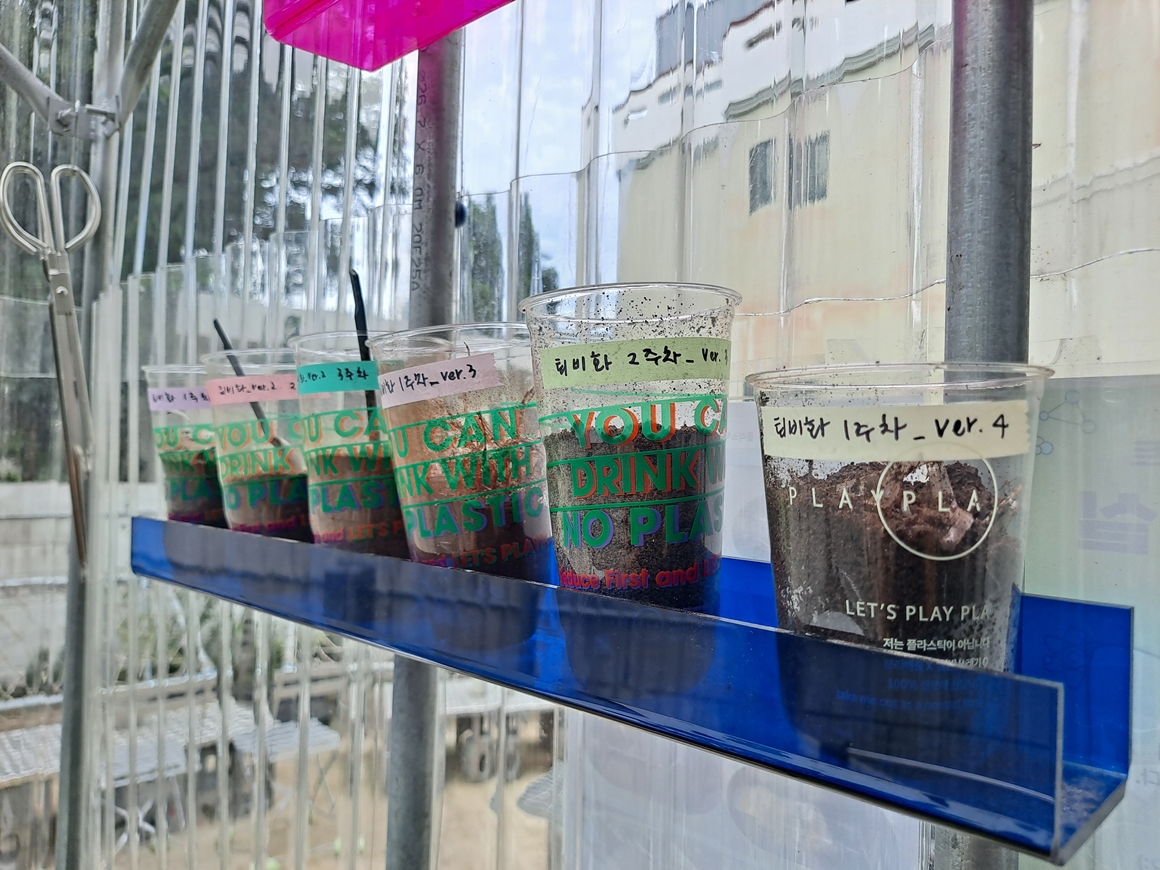 꼬마 삼춘의 그린 트래블<가치島르라>