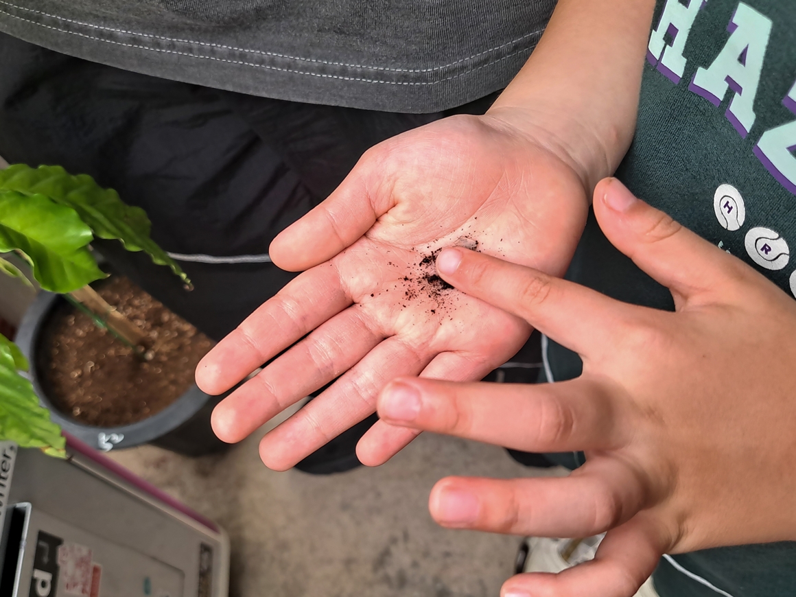 꼬마 삼춘의 그린 트래블<가치島르라>