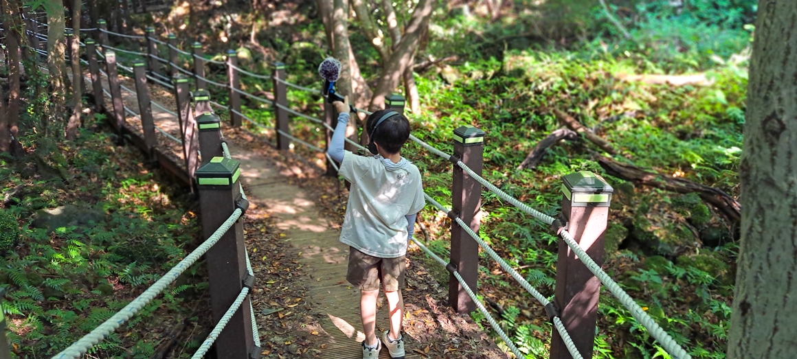 꼬마 삼춘의 그린 트래블<가치島르라>