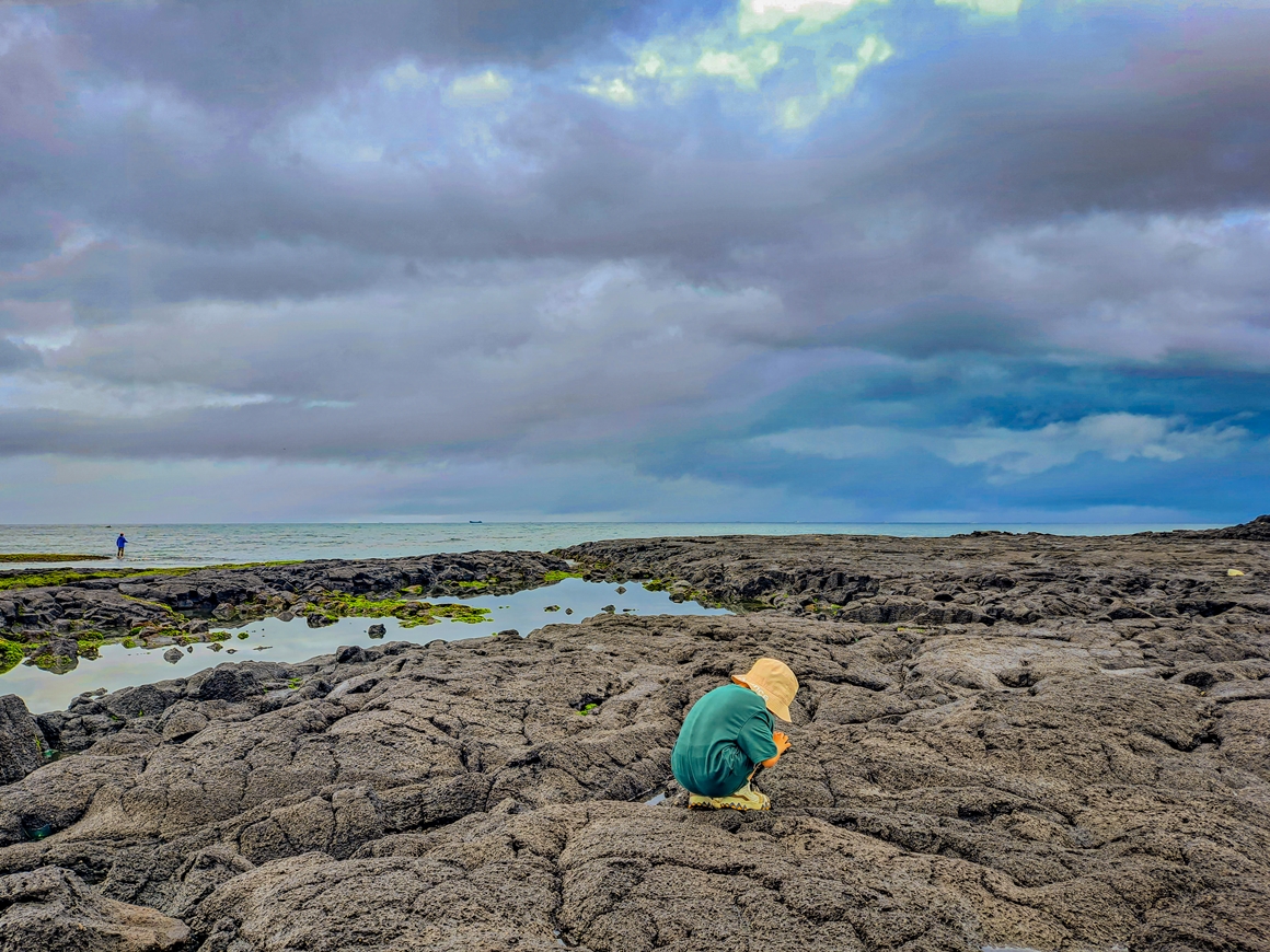 꼬마 삼춘의 그린 트래블<가치島르라>