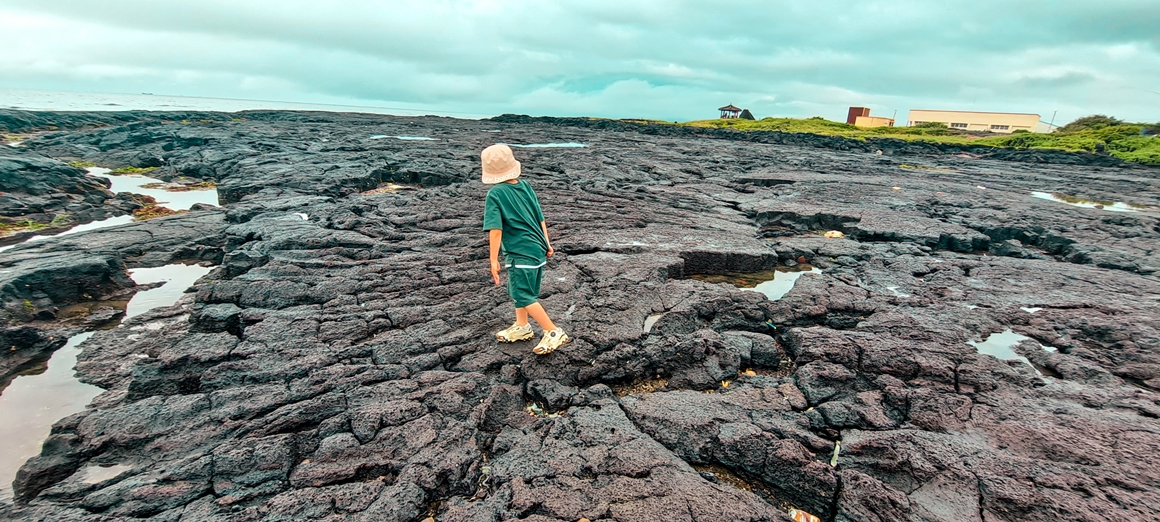 꼬마 삼춘의 그린 트래블<가치島르라>