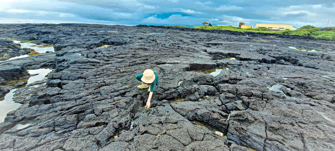 꼬마 삼춘의 그린 트래블<가치島르라>