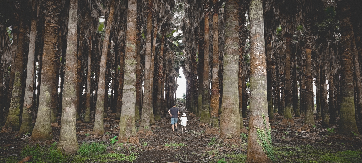 꼬마 삼춘의 그린 트래블<가치島르라>
