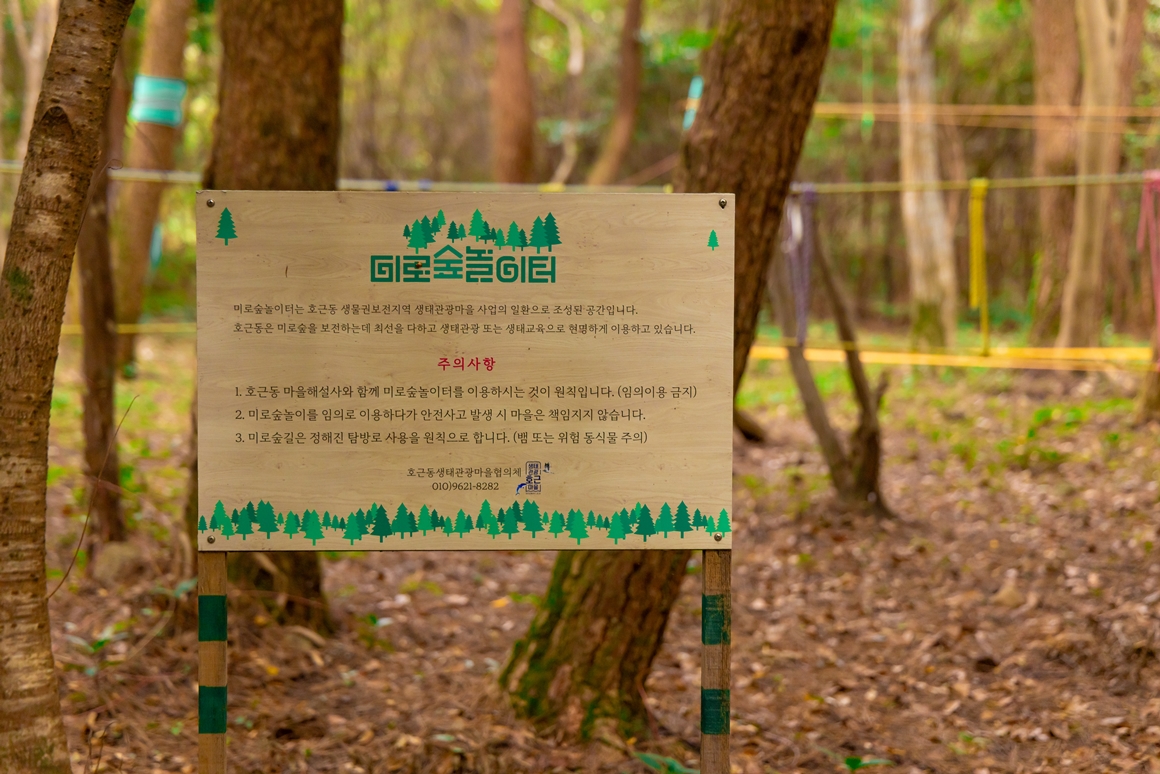 제주 가을을 담다  <서귀포 마을산책, 대륜동> 