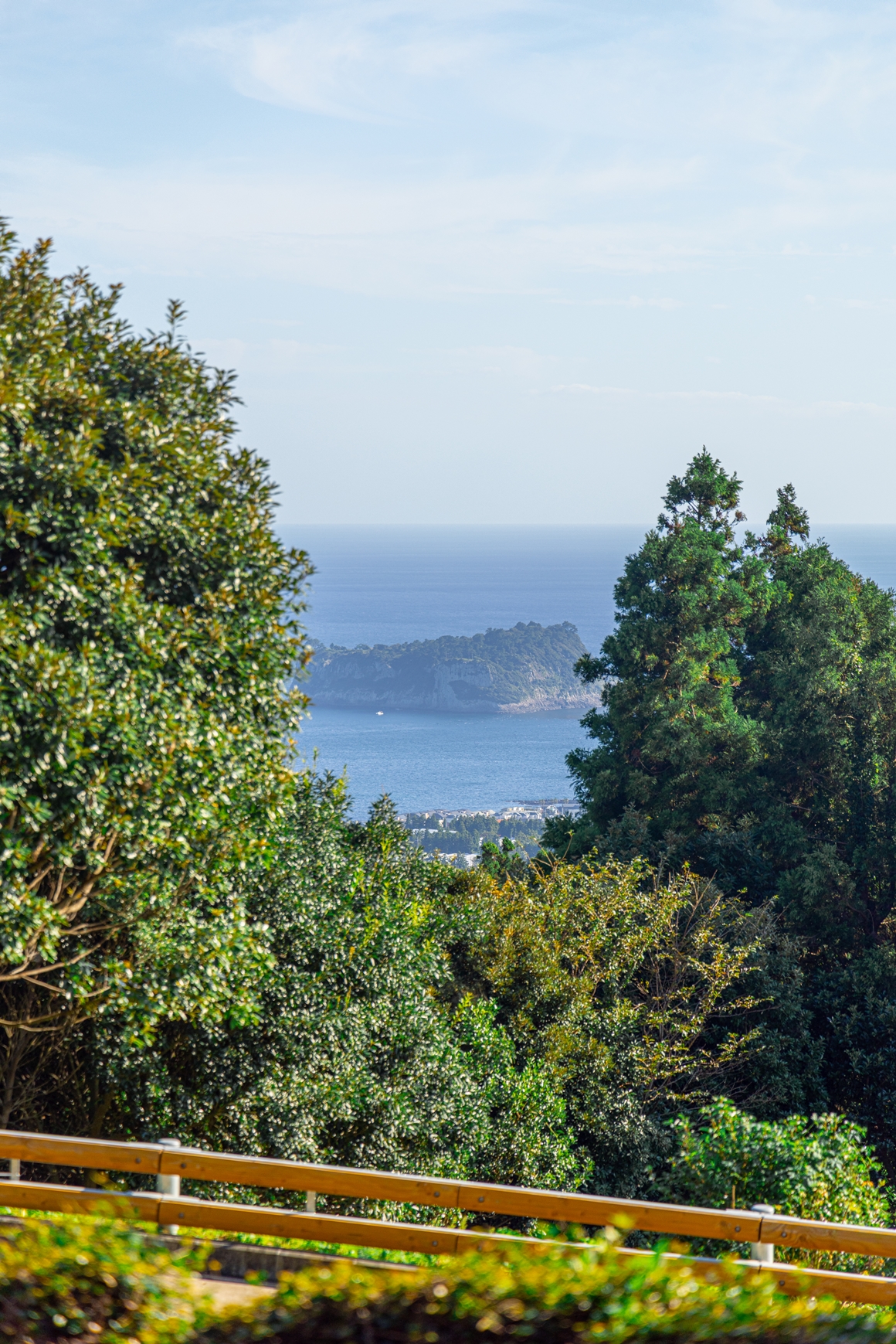 제주 가을을 담다  <서귀포 마을산책, 대륜동> 