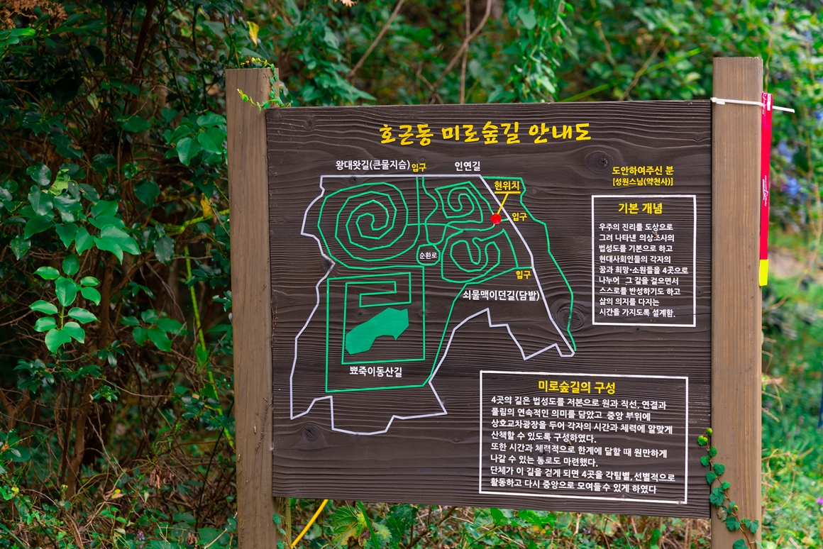 제주 가을을 담다  <서귀포 마을산책, 대륜동> 