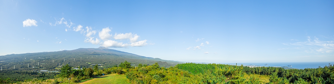 제주 가을을 담다  <서귀포 마을산책, 대륜동> 