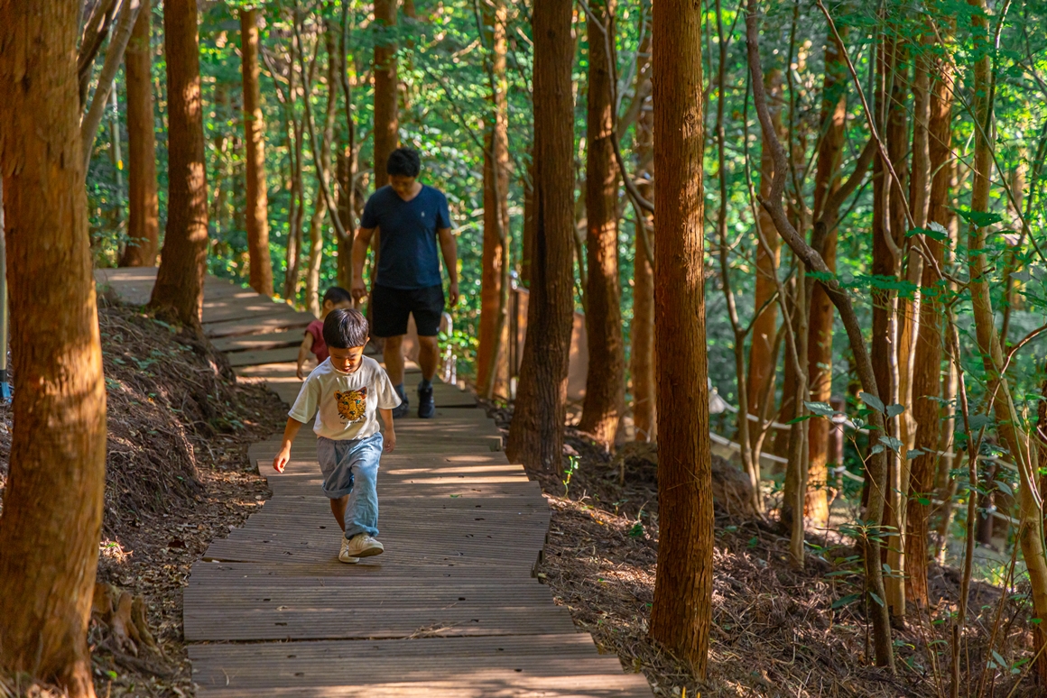 제주 가을을 담다  <서귀포 마을산책, 대륜동> 