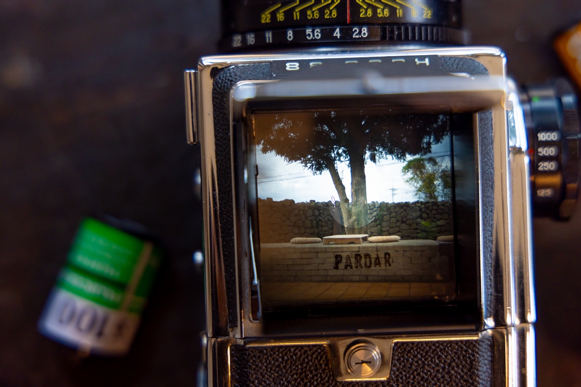 제주 가을을 담다  <서귀포 마을산책, 대륜동> 