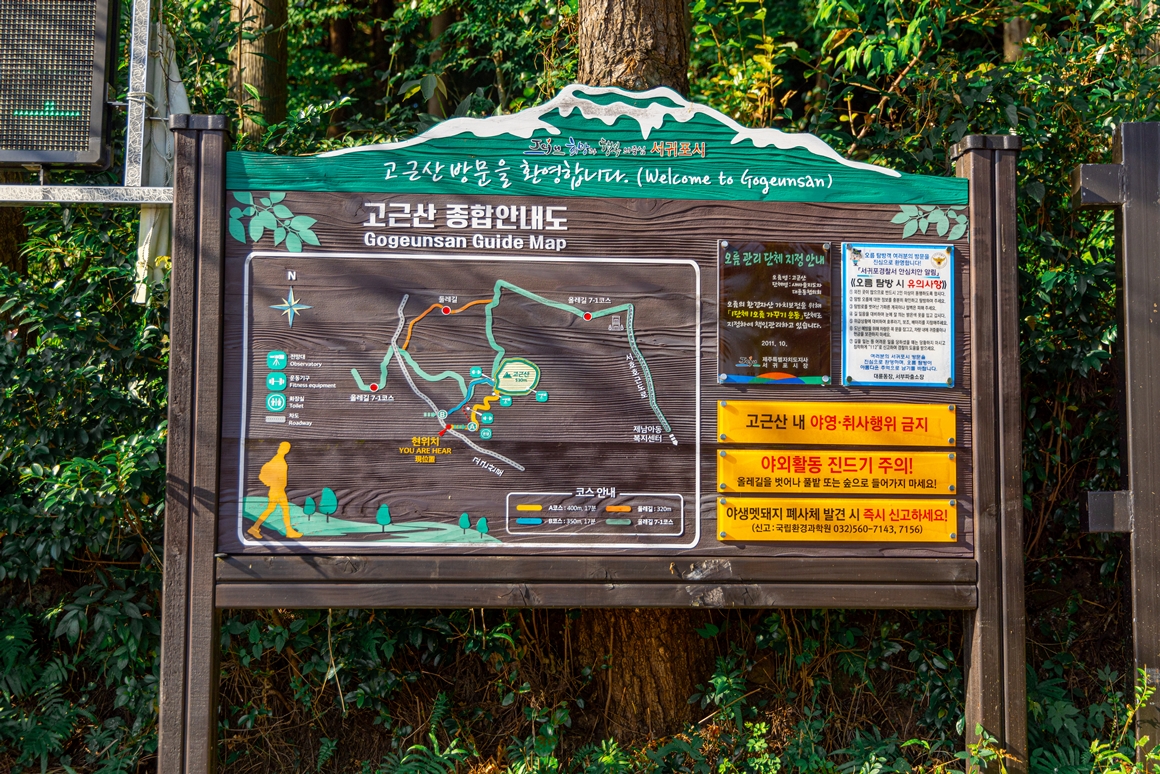 제주 가을을 담다  <서귀포 마을산책, 대륜동> 