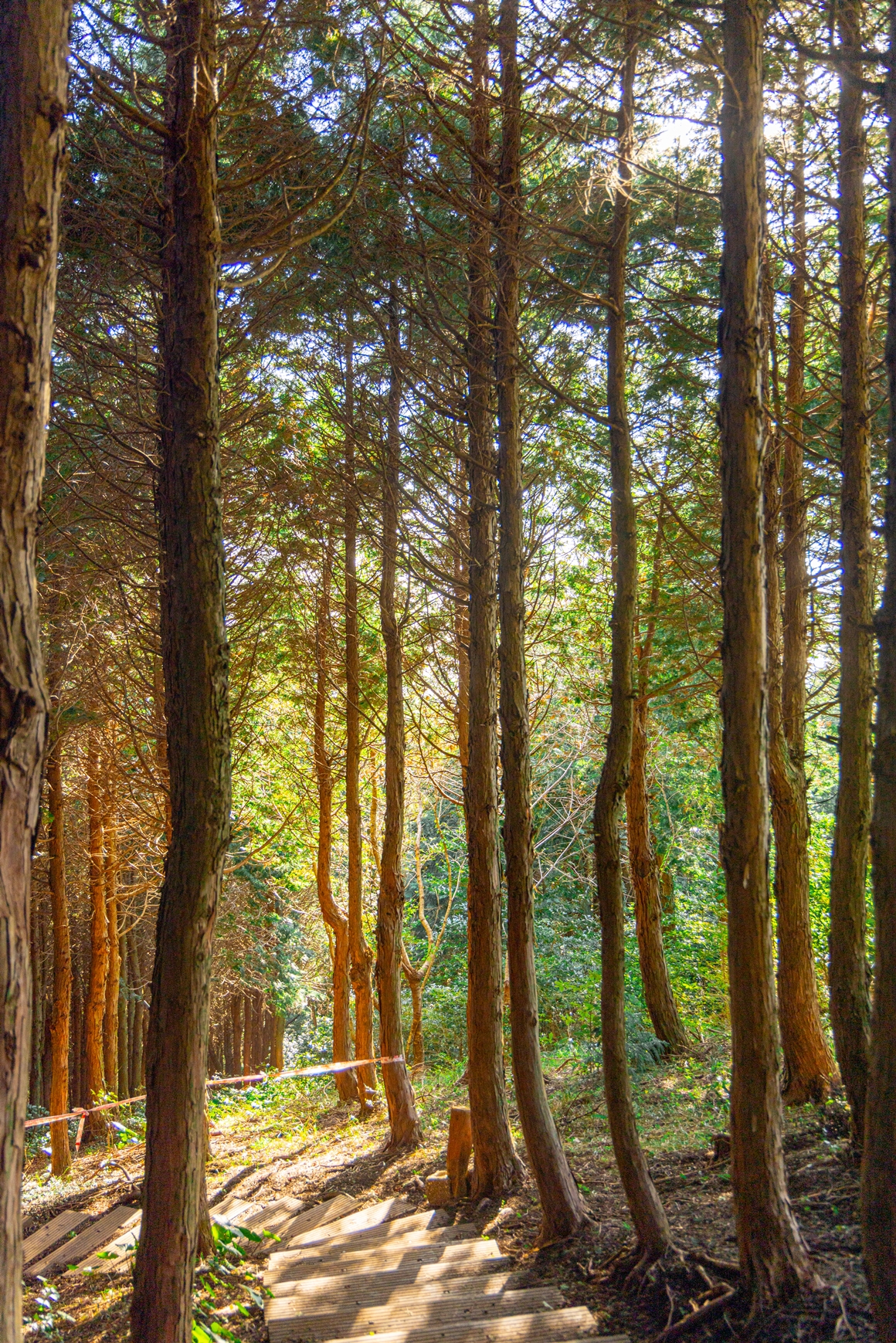 제주 가을을 담다  <서귀포 마을산책, 대륜동> 