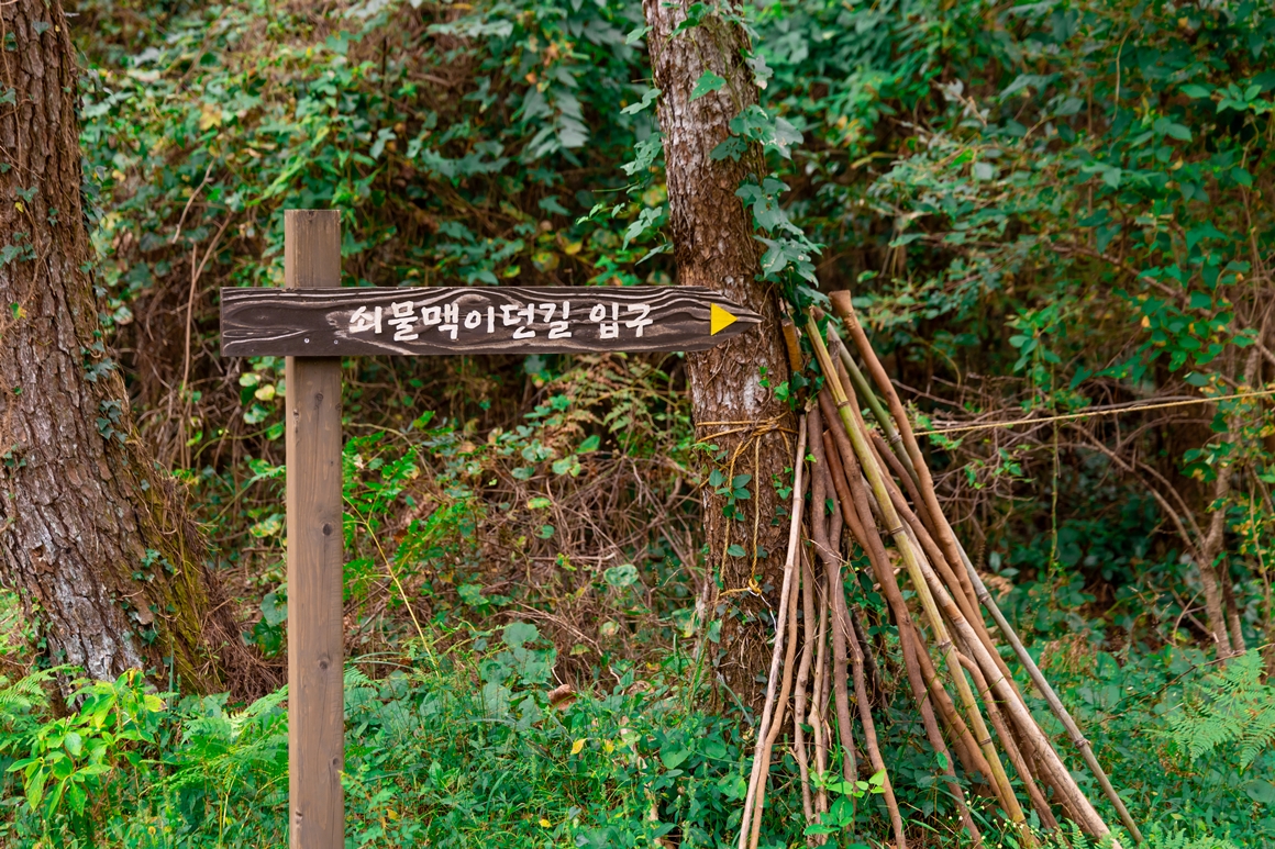 제주 가을을 담다  <서귀포 마을산책, 대륜동> 