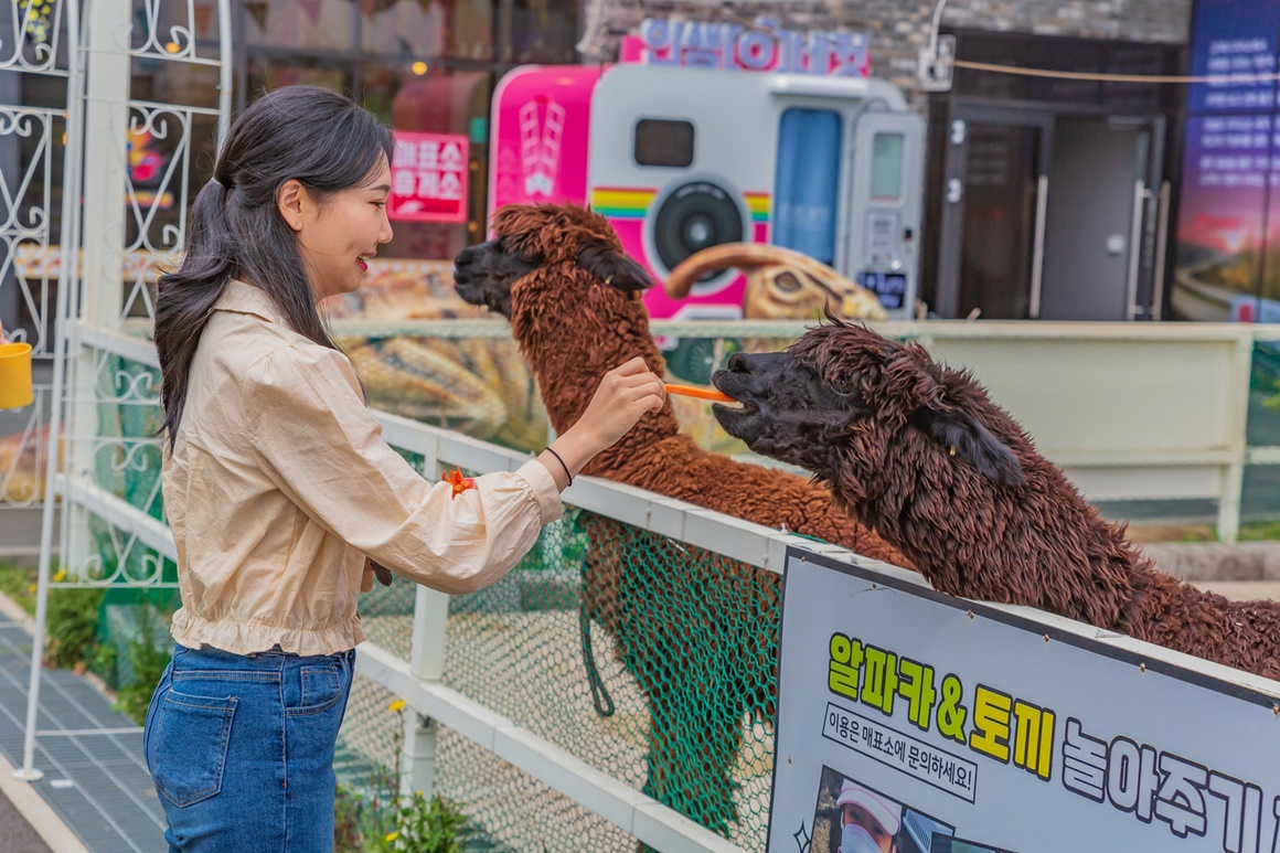 제이원카트클럽