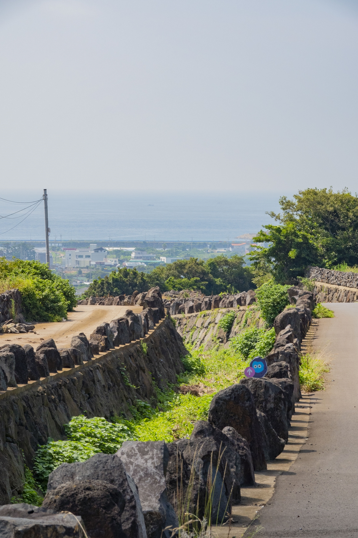지금 가장 제주스런 <제주 밭담길>
