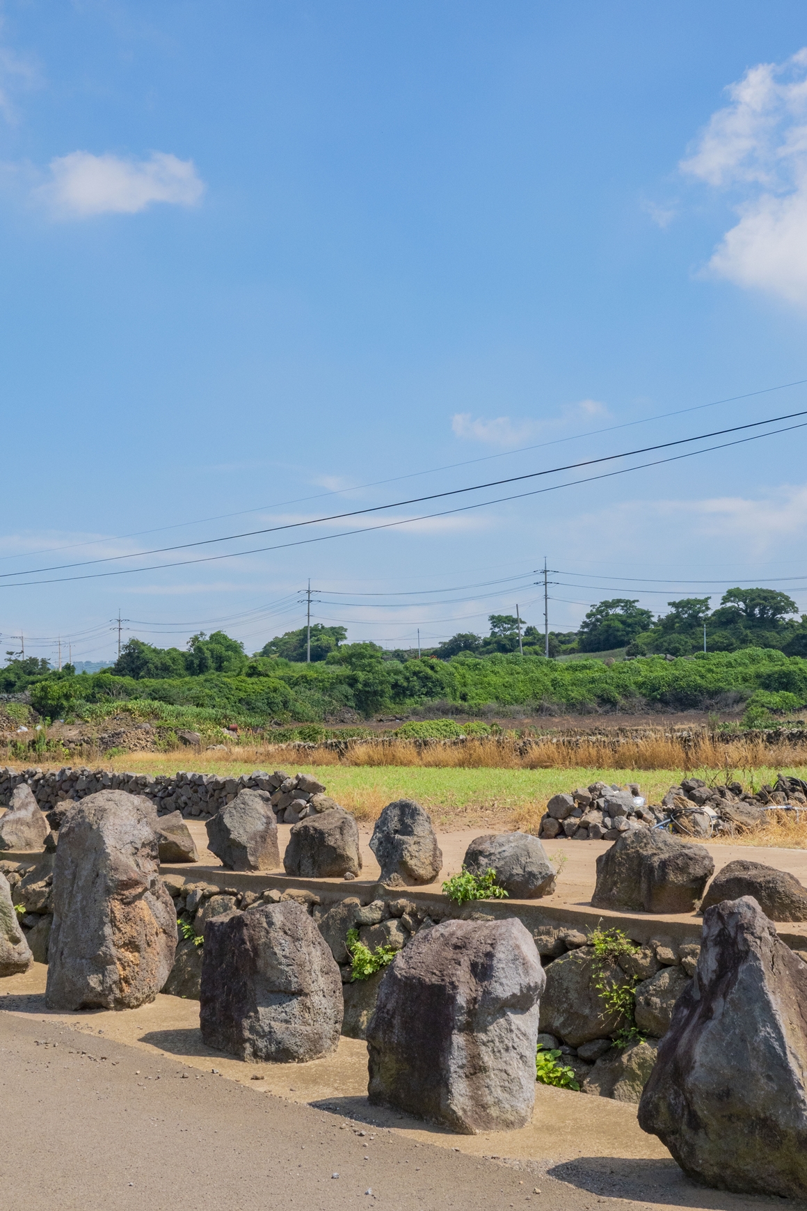 지금 가장 제주스런 <제주 밭담길>