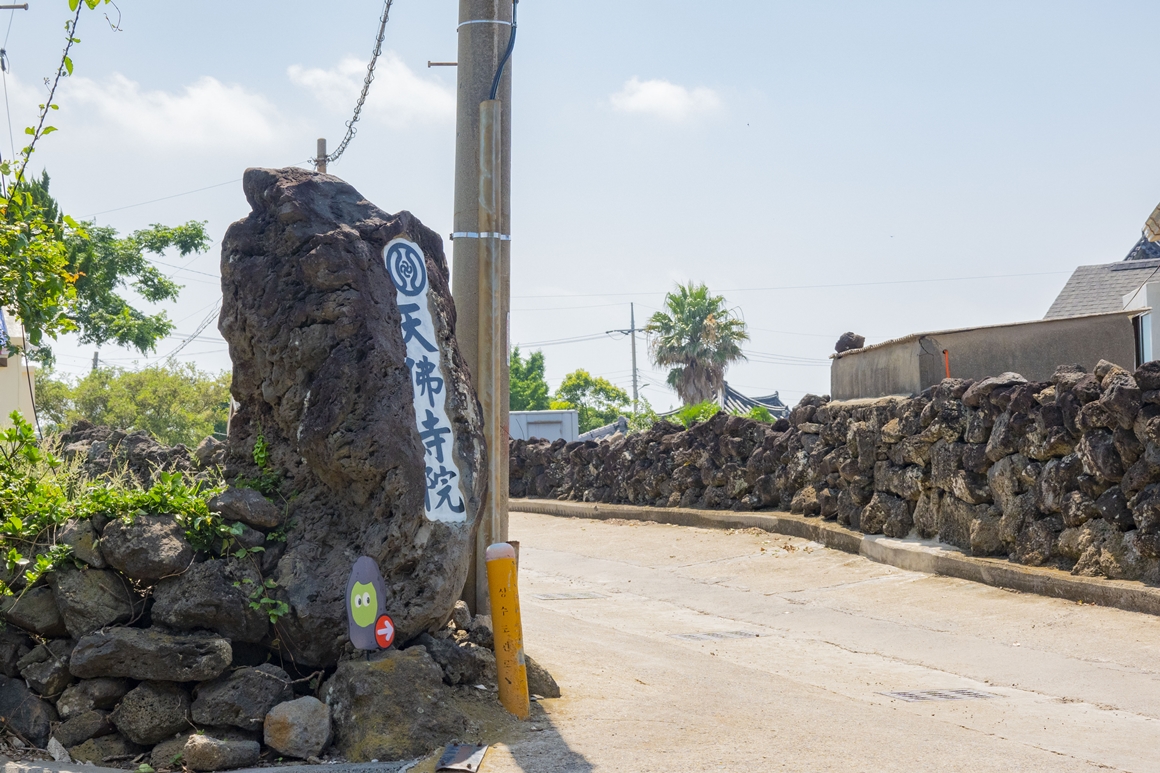 지금 가장 제주스런 <제주 밭담길>