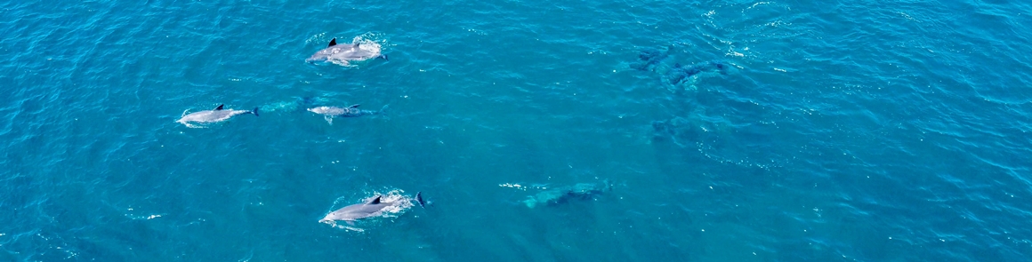 가을따라 <클린올레>