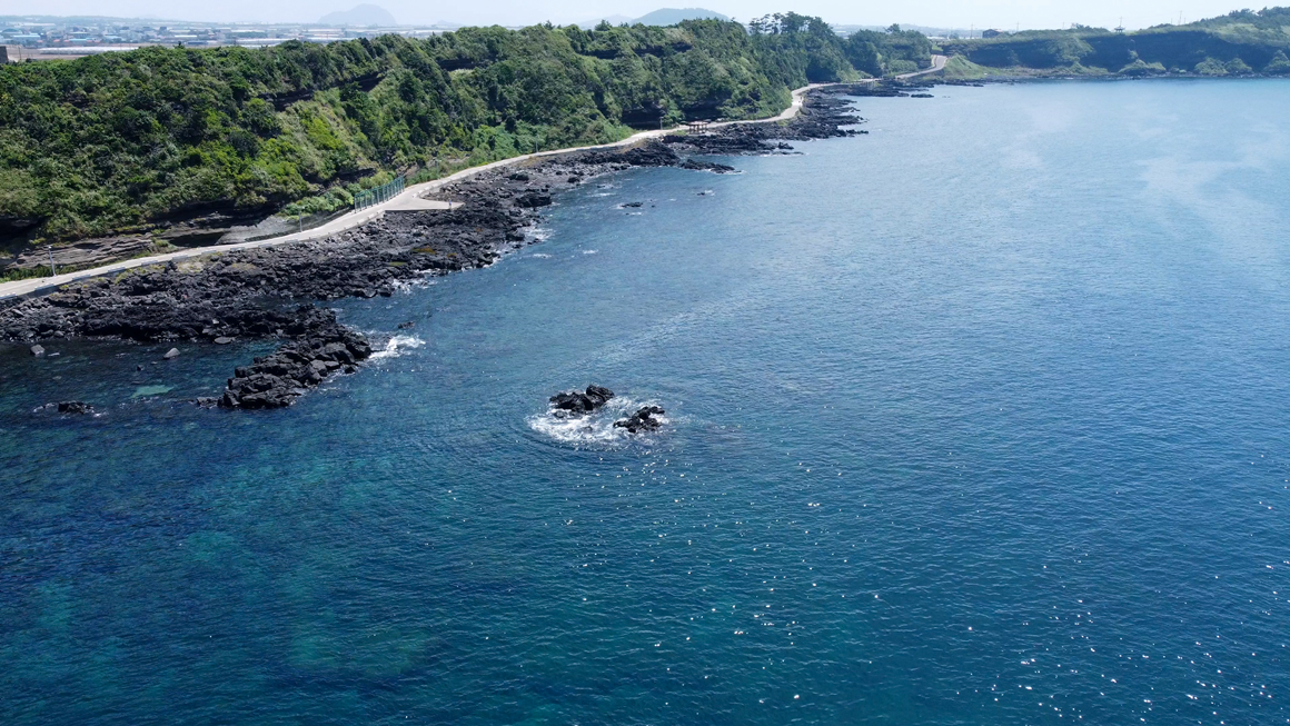 가을따라 <클린올레>