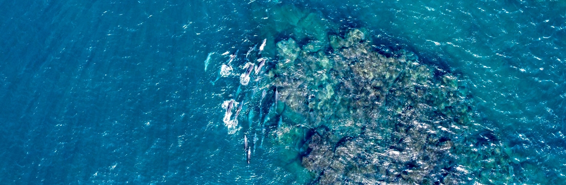 가을따라 <클린올레>