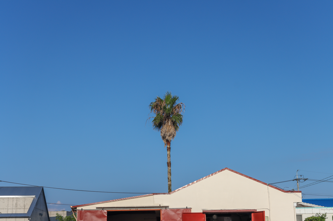 가을따라 <클린올레>