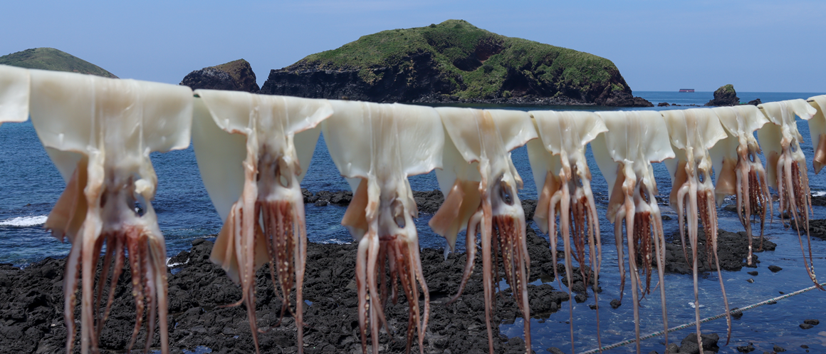 가을따라 <클린올레>