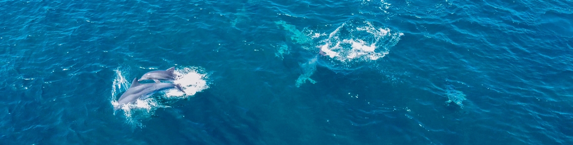 가을따라 <클린올레>